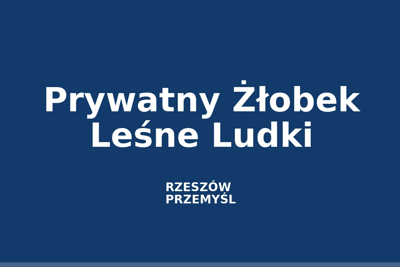Prywatny Żłobek Leśne Ludki