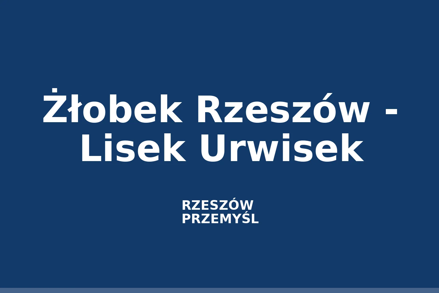 Żłobek Rzeszów - Lisek Urwisek