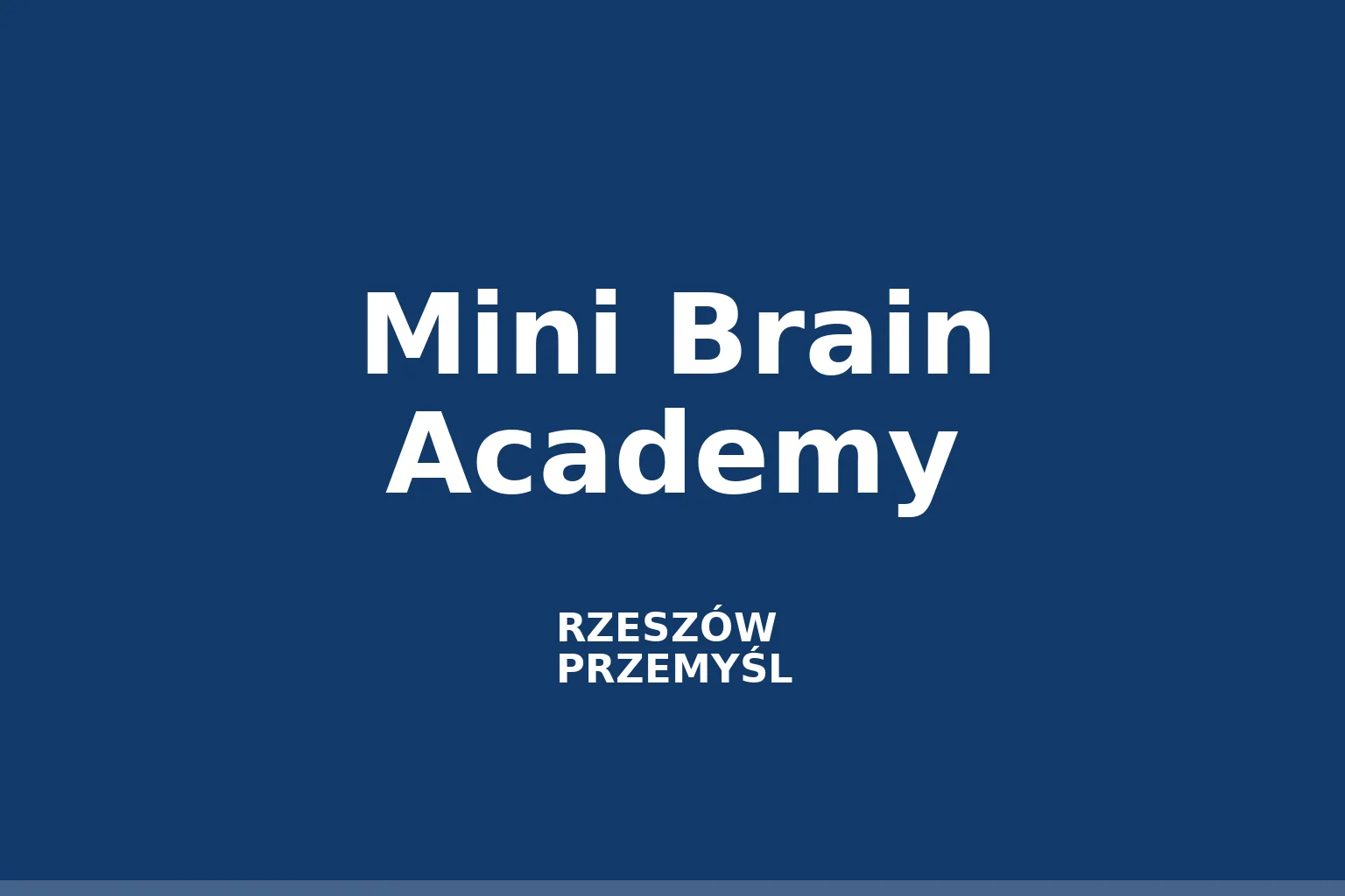 Mini Brain Academy
